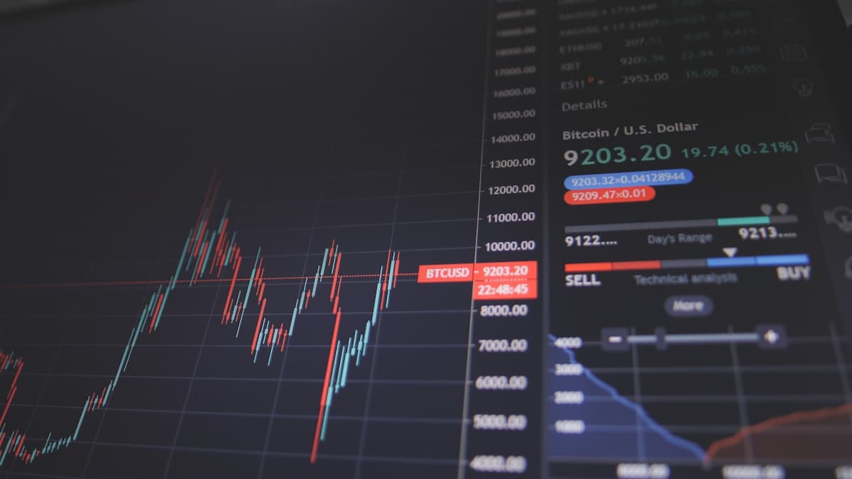 Financial performance chart and data analytics visual on high resolution display